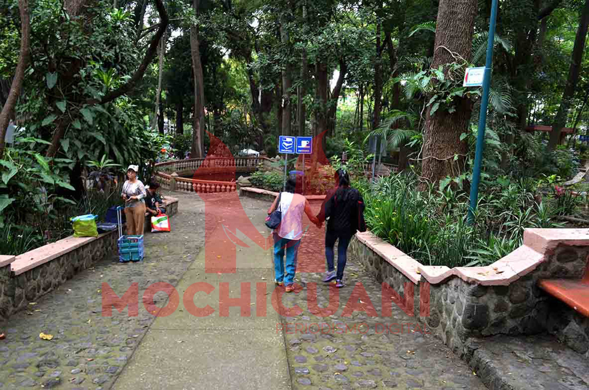 Parque Melchor Ocampo. Foto Máximo Cerdio