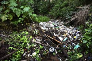 Basura en barranca del salto