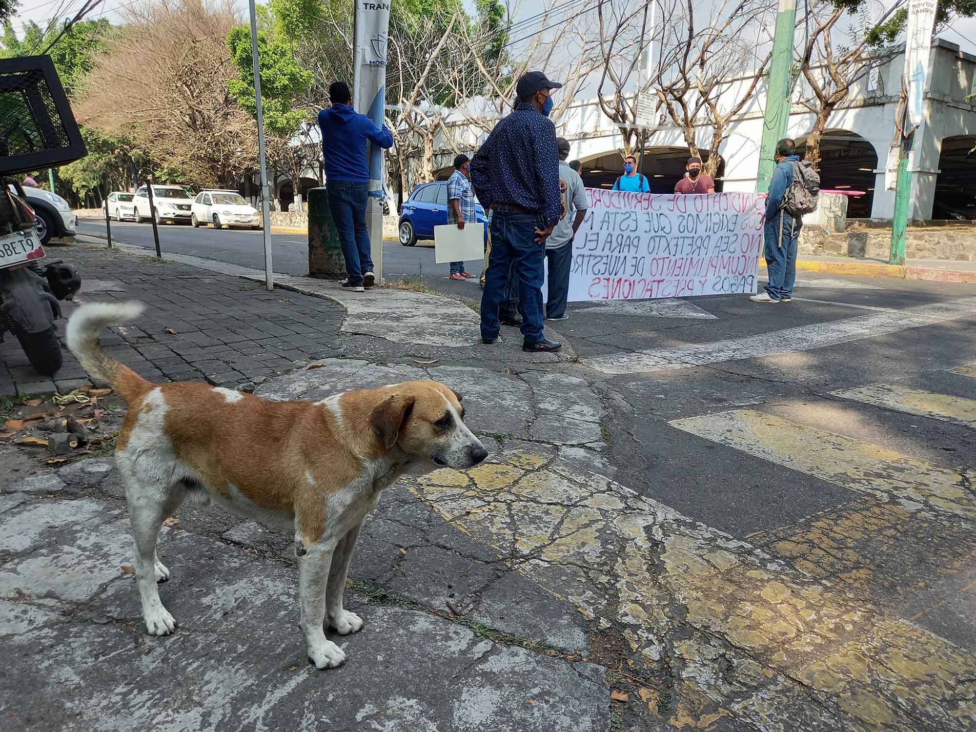 Chuqínquiro en una manifestación.