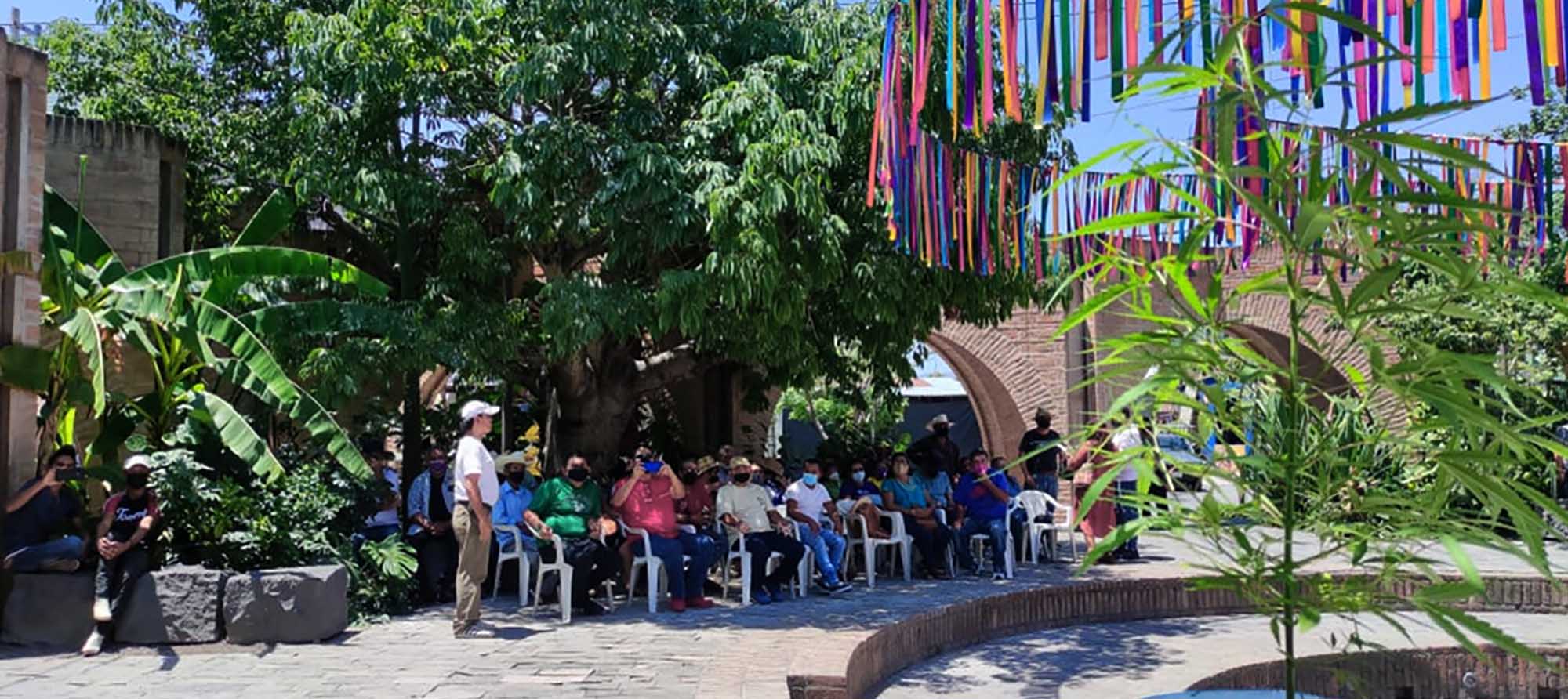 Actividad zócalo