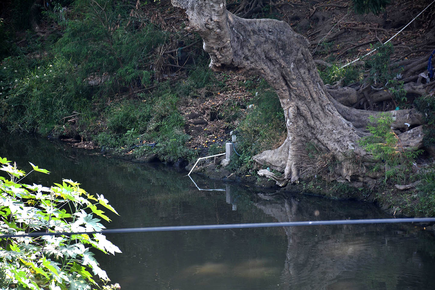 Descarga de drenaje en el Río Apatlaco Zacatepec