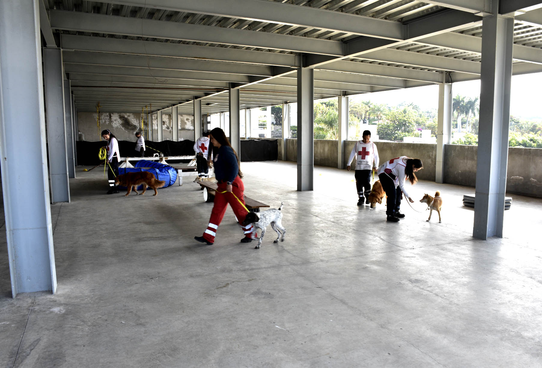 Entrenamiento de instructores y guías del Equipo del Perros de Búsqueda y Rescate SAR K9 de la Cruz Roja Mexicana Morelos