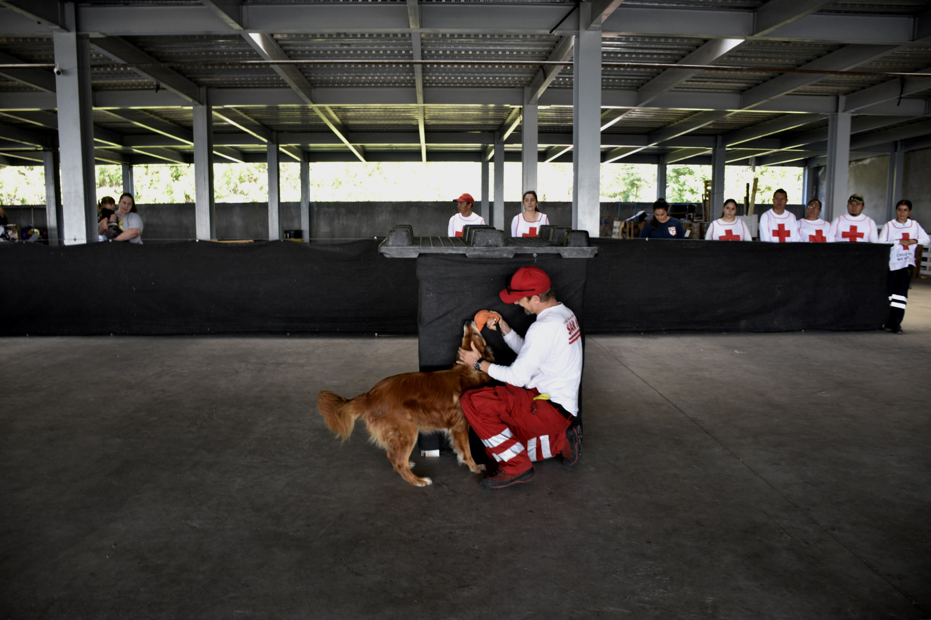 Entrenamiento del equipo de iInstructores y guías del Equipo del Perros de Búsqueda y Rescate SAR K9 de la Cruz Roja Mexicana Morelos