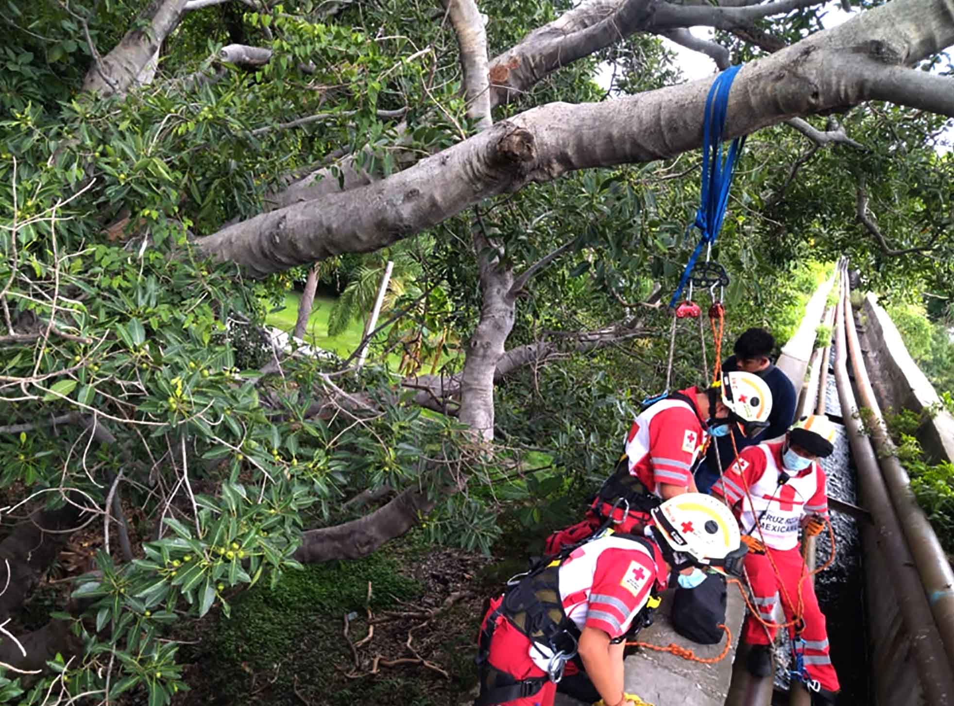 Rescate real CuautlaM. Foto cortesía2