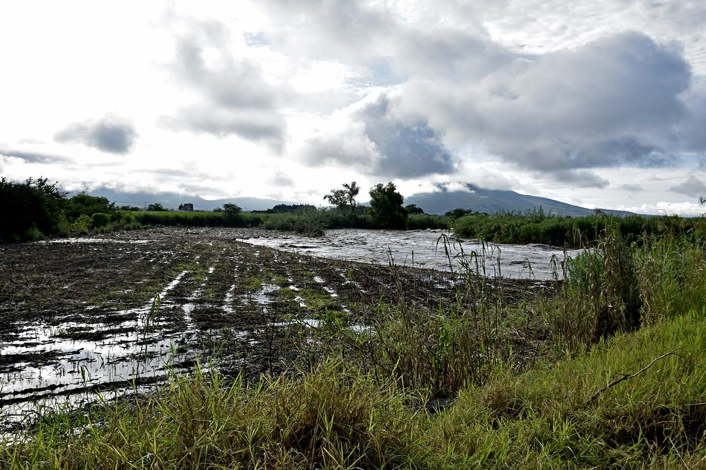 D1 Río Apatlaco y margen con cultivo 19 septiembre de 2021