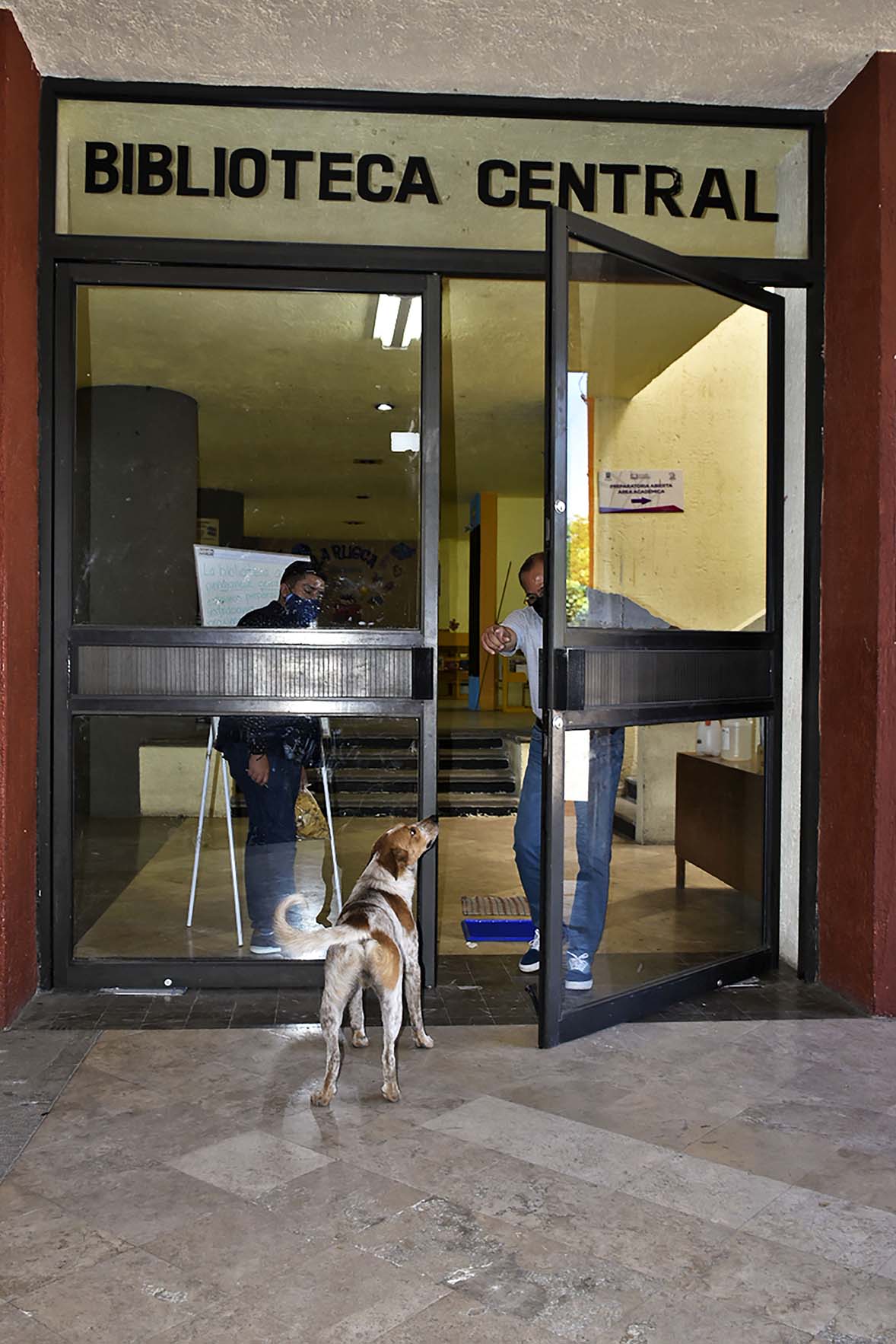 Perro en la puerta