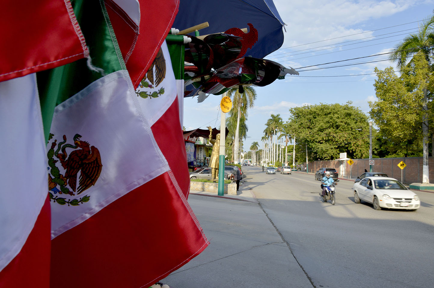 Banderas y estatua