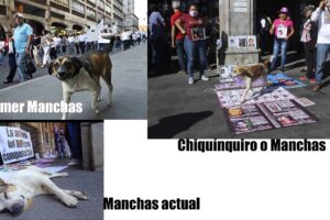Todos los manchas