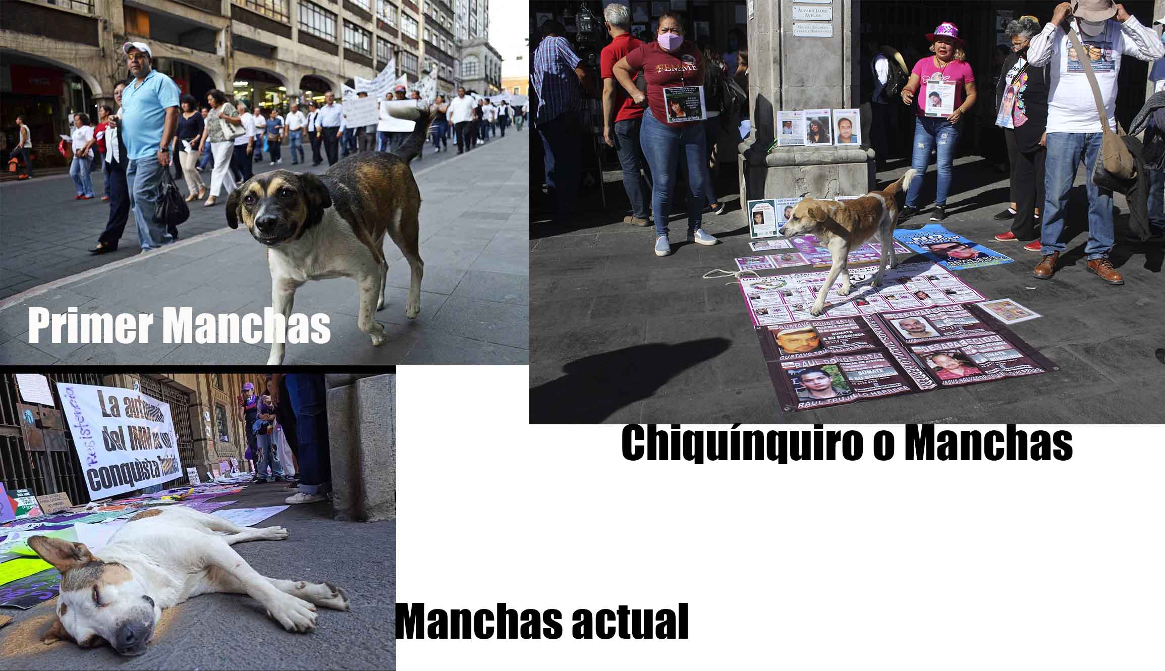 Todos los manchas