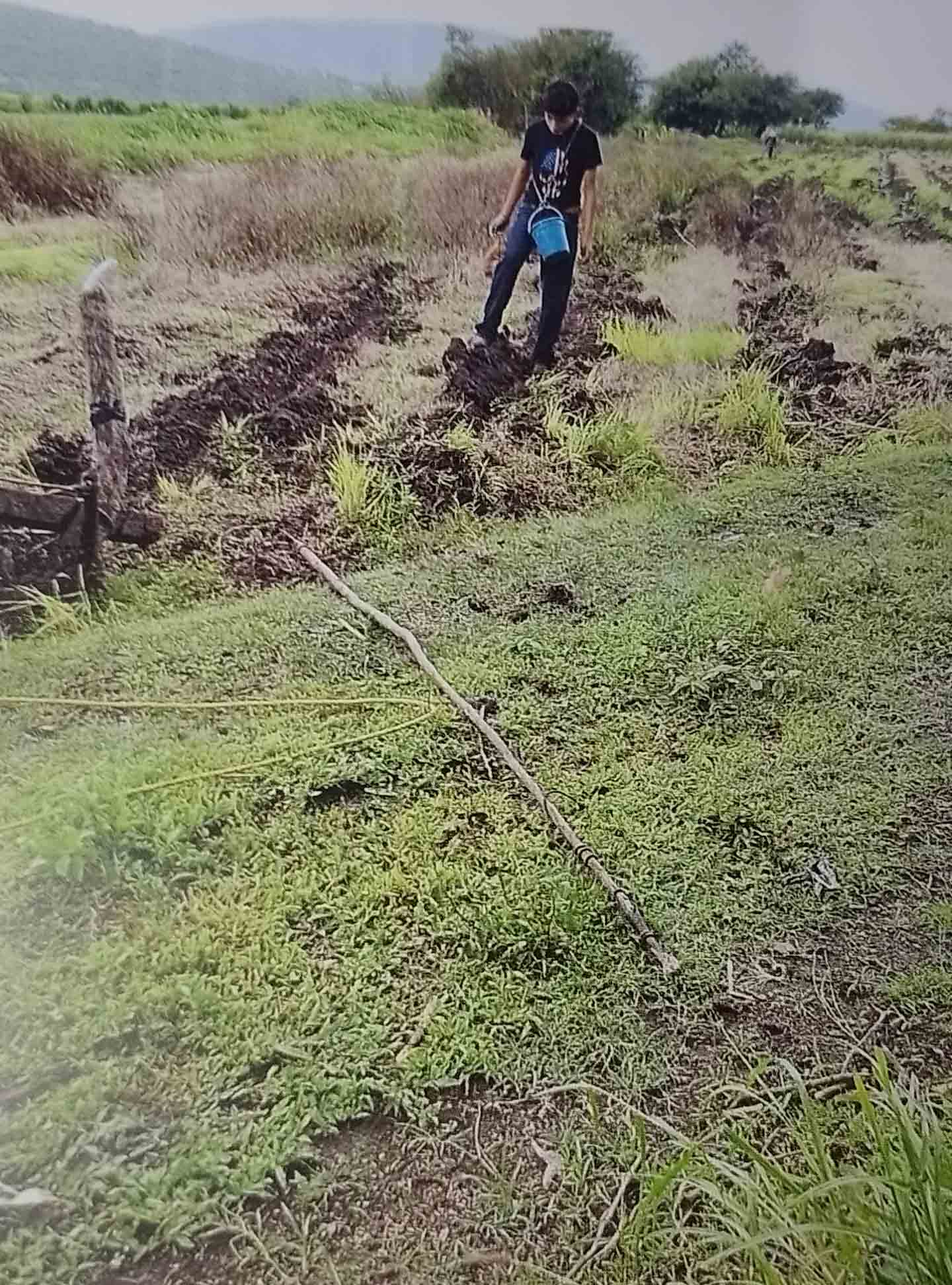 Leonardo en el campo 