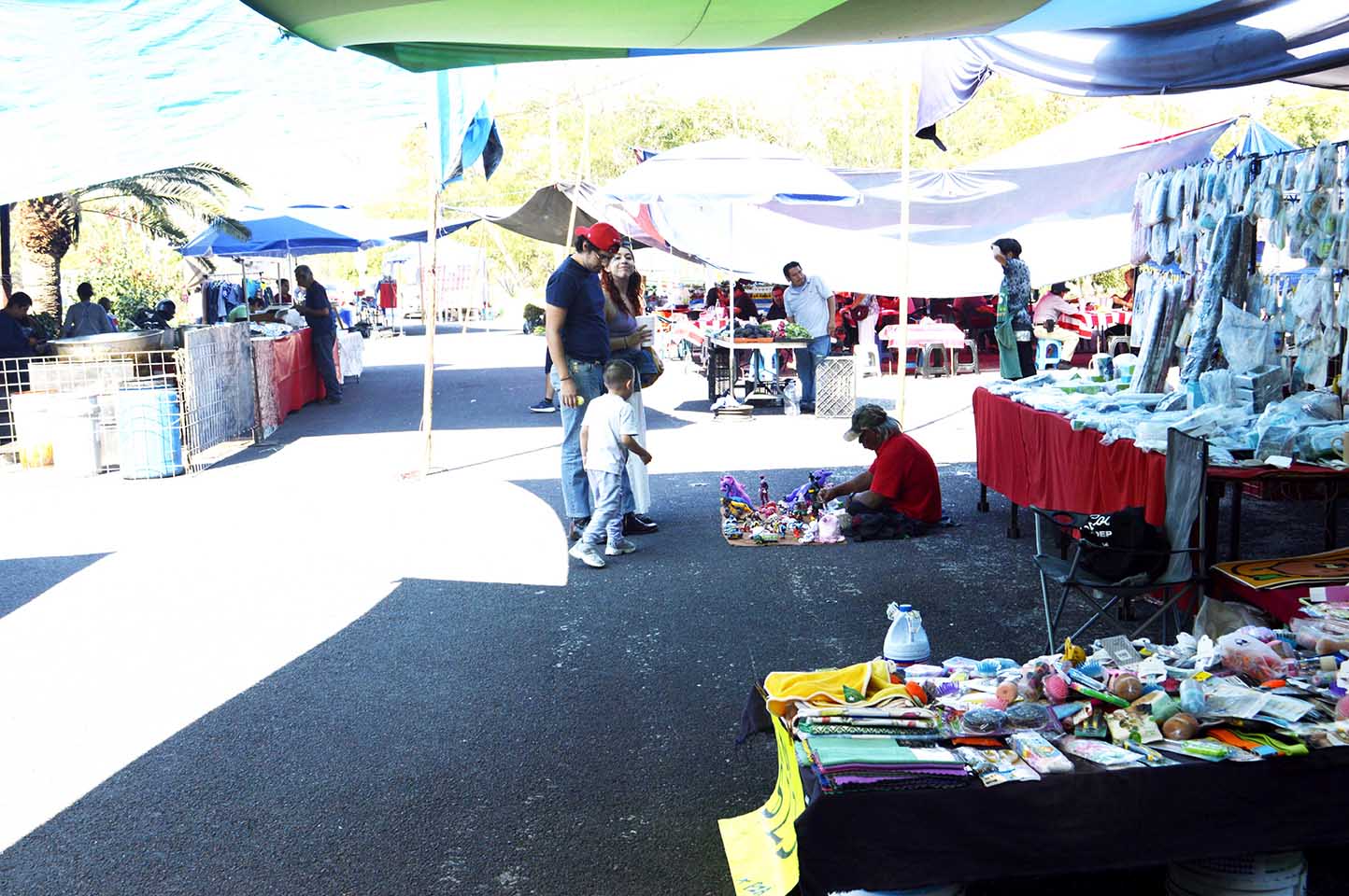 Pantaleon-atendiendo