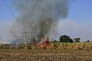 Quema de caña Jojutla