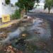 1Aguas negras