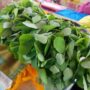 Pápalos